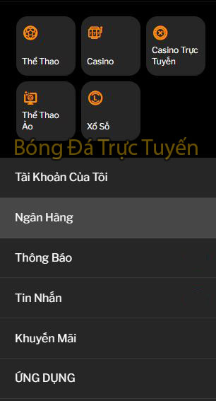 Hướng dẫn cách gửi tiền trang cá cược uy tín chi tiết nhất 2 cách gửi tiền 188bet 2