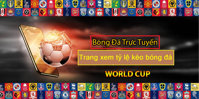 Tỷ lệ cá cược bóng đá EURO - WORLD CUP mới nhất hôm nay 6 tỷ lệ cá cược bóng đá worldcup